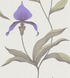 Orchid Wallpaper by Cole & Son 24 Orchid Wallpaper by Cole & Son 24