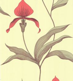 Orchid Wallpaper by Cole & Son 33 Orchid Wallpaper by Cole & Son 33