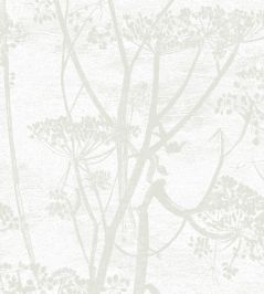 Cow Parsley Wallpaper by Cole & Son Pale Neutral Grey Cow Parsley Wallpaper by Cole & Son Pale Neutral Grey