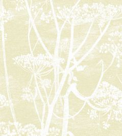 Cow Parsley Wallpaper by Cole & Son Sand Cow Parsley Wallpaper by Cole & Son Sand