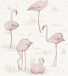 Flamingos Wallpaper by Cole & Son 45 Flamingos Wallpaper by Cole & Son 45