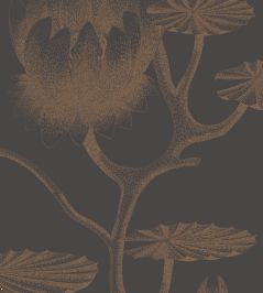 Lily Wallpaper by Cole & Son 21 Lily Wallpaper by Cole & Son 21