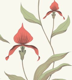 Orchid Wallpaper by Cole & Son 54 Orchid Wallpaper by Cole & Son 54