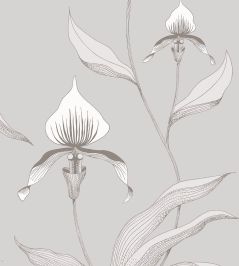 Orchid Wallpaper by Cole & Son 55 Orchid Wallpaper by Cole & Son 55