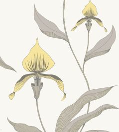 Orchid Wallpaper by Cole & Son 57 Orchid Wallpaper by Cole & Son 57