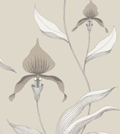 Orchid Wallpaper by Cole & Son 58 Orchid Wallpaper by Cole & Son 58