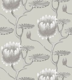Summer Lily Wallpaper by Cole & Son 25 Summer Lily Wallpaper by Cole & Son 25