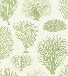 Seafern Wallpaper by Cole & Son 2008 Seafern Wallpaper by Cole & Son 2008