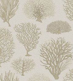 Seafern Wallpaper by Cole & Son 2010 Seafern Wallpaper by Cole & Son 2010