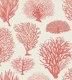 Seafern Wallpaper by Cole & Son 2011 Seafern Wallpaper by Cole & Son 2011