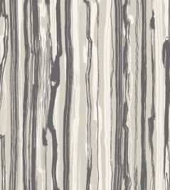 Strand Wallpaper by Cole & Son 7035 Strand Wallpaper by Cole & Son 7035