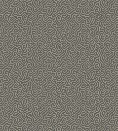 Vermicelli Wallpaper by Cole & Son 4017 Vermicelli Wallpaper by Cole & Son 4017