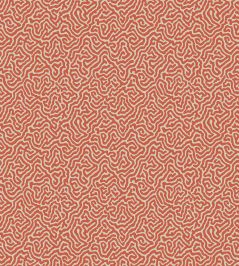Vermicelli Wallpaper by Cole & Son 4018 Vermicelli Wallpaper by Cole & Son 4018
