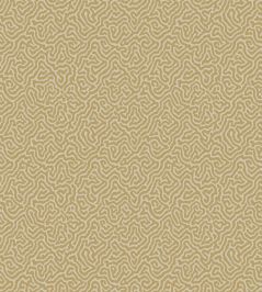 Vermicelli Wallpaper by Cole & Son 4021 Vermicelli Wallpaper by Cole & Son 4021