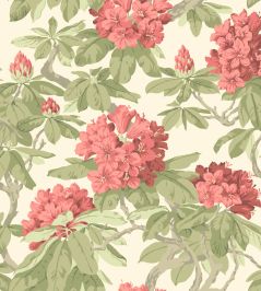 Bourlie Wallpaper by Cole & Son 4020 Bourlie Wallpaper by Cole & Son 4020