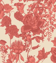 Tivoli Wallpaper by Cole & Son 7033 Tivoli Wallpaper by Cole & Son 7033