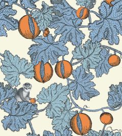 Frutto Proibito Wallpaper by Cole & Son Hyacinth and Orange on White Frutto Proibito Wallpaper by Cole & Son Hyacinth and Orange on White
