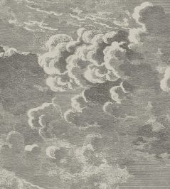 Nuvolette Wallpaper by Cole & Son Gilver & Charcoal Nuvolette Wallpaper by Cole & Son Gilver & Charcoal