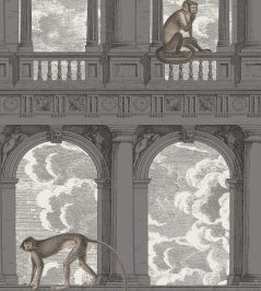 Procuratie Con Vista Wallpaper by Cole & Son Soot & Snow Procuratie Con Vista Wallpaper by Cole & Son Soot & Snow
