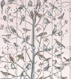 Uccelli Mural by Cole & Son Ballet Slipper Uccelli Mural by Cole & Son Ballet Slipper
