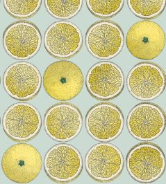 Arance Wallpaper by Cole & Son Lemon and Seafoam Arance Wallpaper by Cole & Son Lemon and Seafoam