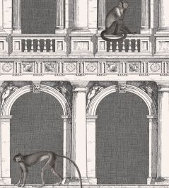 Procuratie E Scimmie Wallpaper by Cole & Son Black and White Procuratie E Scimmie Wallpaper by Cole & Son Black and White