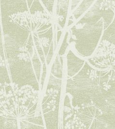 Cow Parsley Wallpaper by Cole & Son Green Cow Parsley Wallpaper by Cole & Son Green