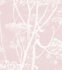 Cow Parsley Fabric by Cole & Son White & Ballet Slipper Cow Parsley Fabric by Cole & Son White & Ballet Slipper