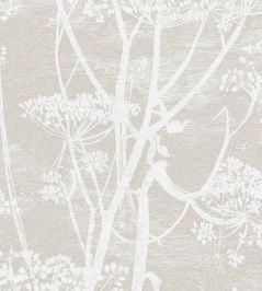 Cow Parsley Fabric by Cole & Son White & Taupe Cow Parsley Fabric by Cole & Son White & Taupe