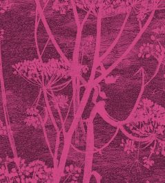 Cow Parsley Velvet Fabric by Cole & Son Magenta & Plum Cow Parsley Velvet Fabric by Cole & Son Magenta & Plum