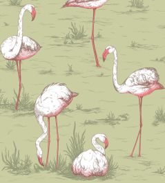 Flamingos Wallpaper by Cole & Son 11038 Flamingos Wallpaper by Cole & Son 11038