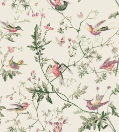 Hummingbirds Fabric by Cole & Son Classic Multi & Old Olive Hummingbirds Fabric by Cole & Son Classic Multi & Old Olive
