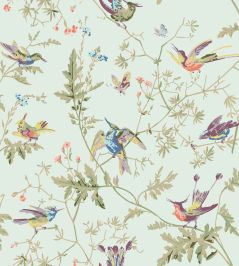 Hummingbirds Fabric by Cole & Son Classic Multi & Duck Egg Hummingbirds Fabric by Cole & Son Classic Multi & Duck Egg