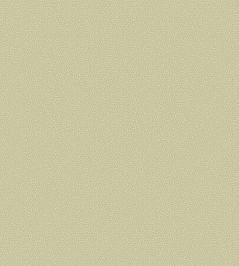 Coral Wallpaper by Cole & Son 5067 Coral Wallpaper by Cole & Son 5067