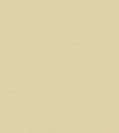 Coral Wallpaper by Cole & Son 5068 Coral Wallpaper by Cole & Son 5068