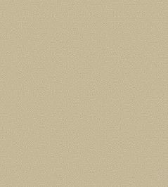 Coral Wallpaper by Cole & Son 5070 Coral Wallpaper by Cole & Son 5070