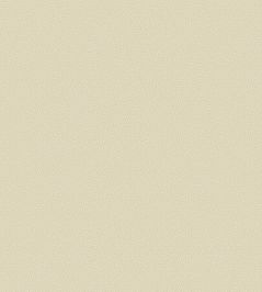 Coral Wallpaper by Cole & Son 5071 Coral Wallpaper by Cole & Son 5071