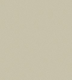 Coral Wallpaper by Cole & Son 5072 Coral Wallpaper by Cole & Son 5072