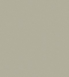 Coral Wallpaper by Cole & Son 5073 Coral Wallpaper by Cole & Son 5073