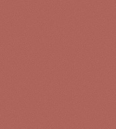 Coral Wallpaper by Cole & Son 5076 Coral Wallpaper by Cole & Son 5076