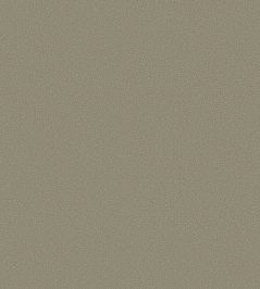 Pebble Wallpaper by Cole & Son 2020 Pebble Wallpaper by Cole & Son 2020