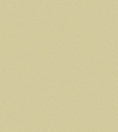 Pebble Wallpaper by Cole & Son 2024 Pebble Wallpaper by Cole & Son 2024