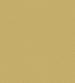 Pebble Wallpaper by Cole & Son 2025 Pebble Wallpaper by Cole & Son 2025