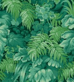Royal Fernery Wallpaper by Cole & Son Forest Green Royal Fernery Wallpaper by Cole & Son Forest Green