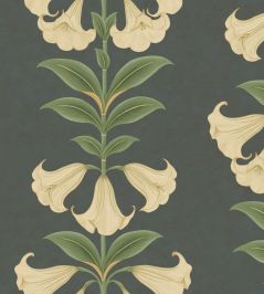 Angels Trumpet Wallpaper by Cole & Son 3006 Angels Trumpet Wallpaper by Cole & Son 3006