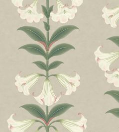 Angels Trumpet Wallpaper by Cole & Son 3007 Angels Trumpet Wallpaper by Cole & Son 3007
