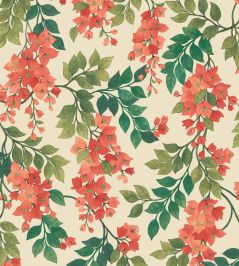 Bougainvillea Wallpaper by Cole & Son 6016 Bougainvillea Wallpaper by Cole & Son 6016