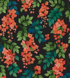 Bougainvillea Wallpaper by Cole & Son 6017 Bougainvillea Wallpaper by Cole & Son 6017