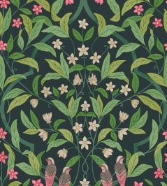 Jasmine And Serin Symphony Wallpaper by Cole & Son 10028 Jasmine And Serin Symphony Wallpaper by Cole & Son 10028