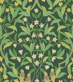Jasmine And Serin Symphony Wallpaper by Cole & Son 10029 Jasmine And Serin Symphony Wallpaper by Cole & Son 10029